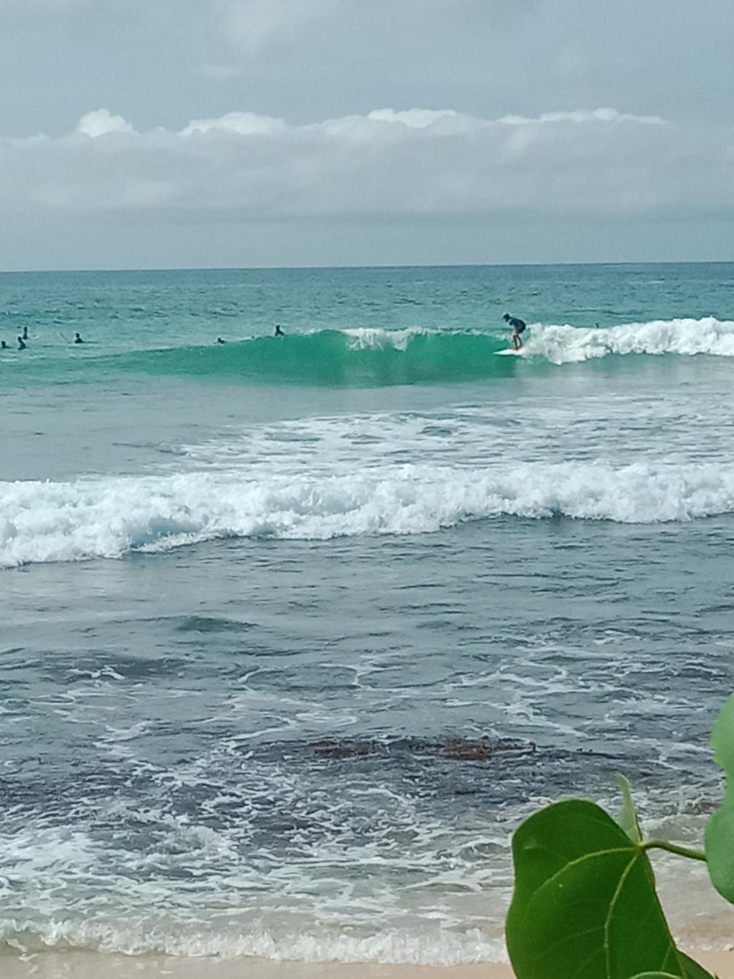 Sandaru Surffing Inn Велігама Екстер'єр фото
